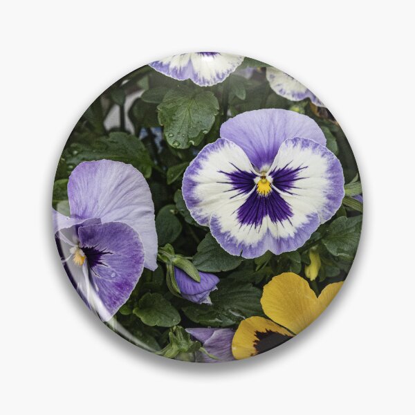 Item preview, Pansy Delight designed and sold by Marylou Badeaux.