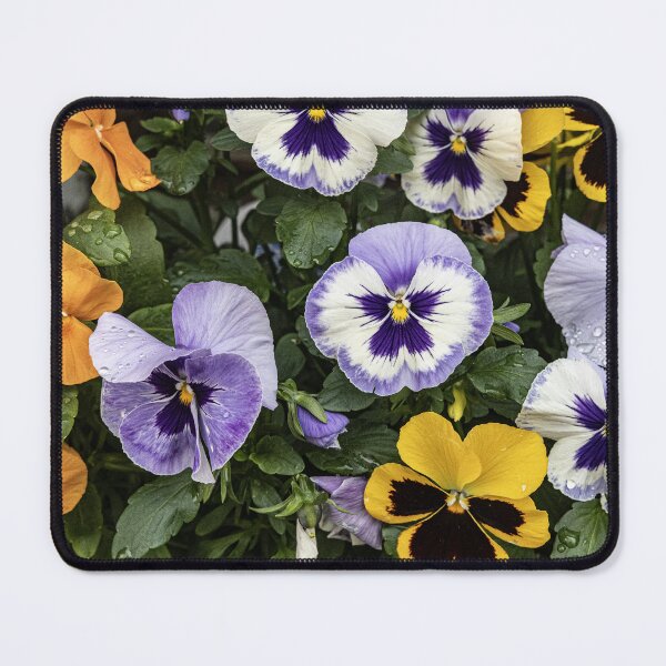 Item preview, Pansy Delight designed and sold by Marylou Badeaux.