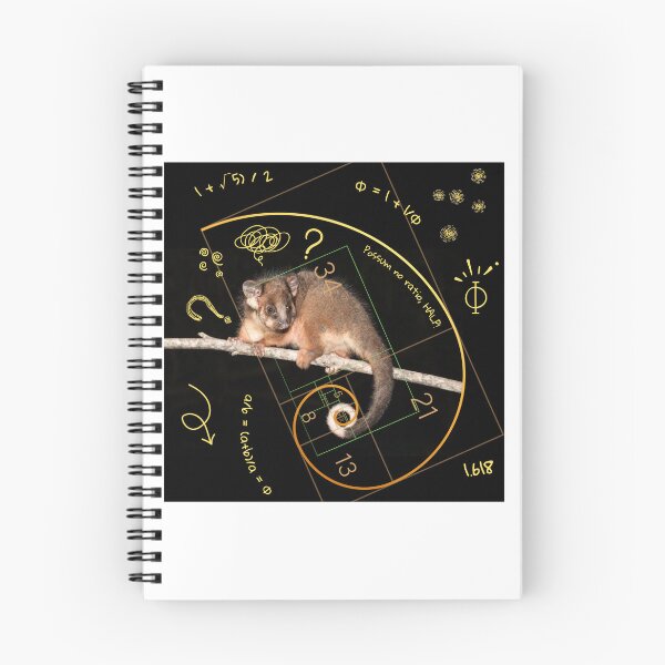 Artikelvorschau, Ringtail Possum verwirrt durch Golden Ratio Design entworfen und verkauft von kanamalukaWild.
