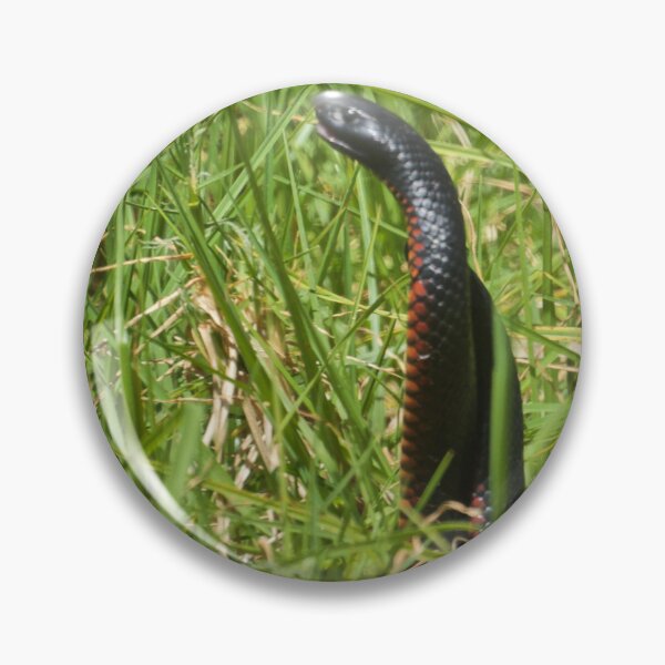 Item preview, Snakes in the Grass designed and sold by D-GaP.