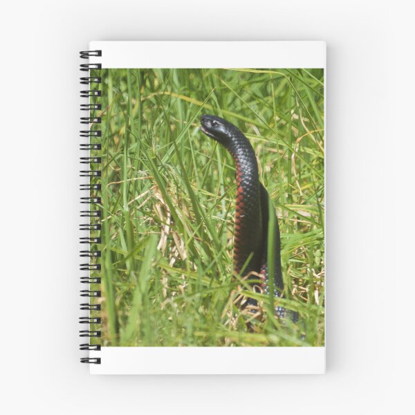 Item preview, Snakes in the Grass designed and sold by D-GaP.