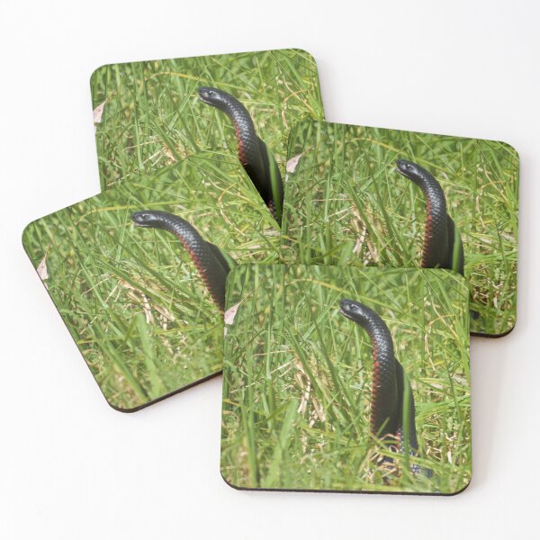 Item preview, Snakes in the Grass designed and sold by D-GaP.