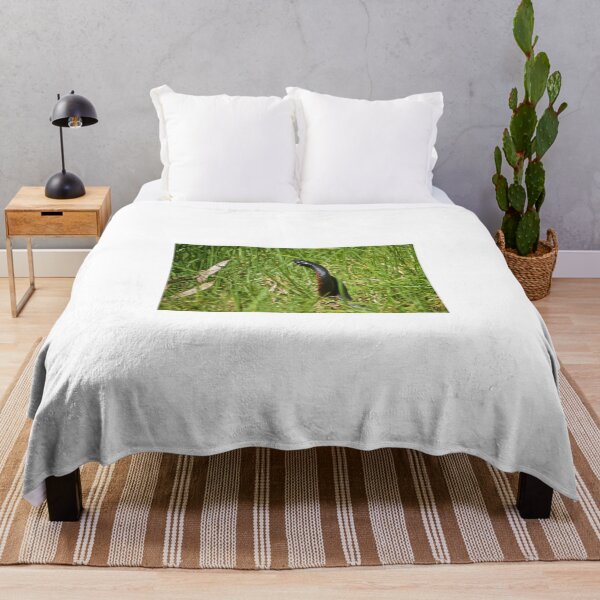 Item preview, Snakes in the Grass designed and sold by D-GaP.