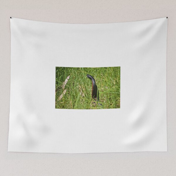 Item preview, Snakes in the Grass designed and sold by D-GaP.