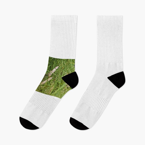 Item preview, Snakes in the Grass designed and sold by D-GaP.