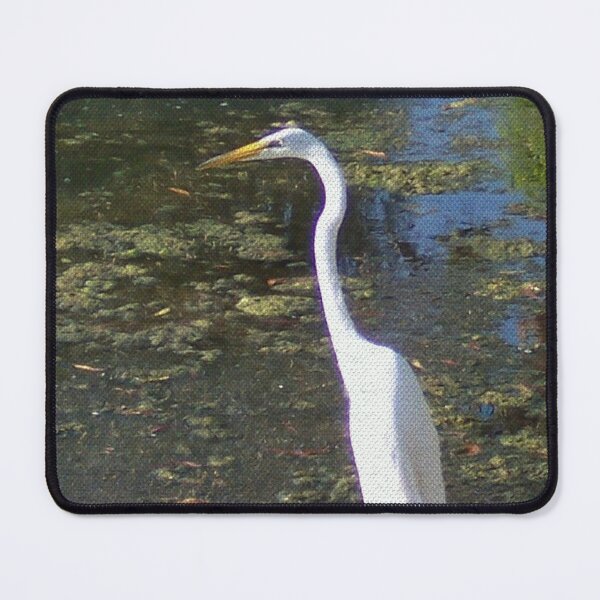Item preview, Great White Heron DPPA161101c  designed and sold by CSteenArt.