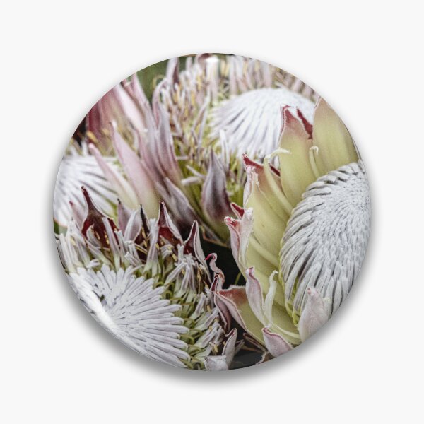 Item preview, Pink and White designed and sold by Marylou Badeaux.