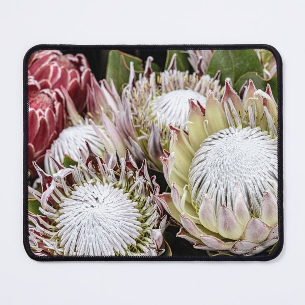 Item preview, Pink and White designed and sold by Marylou Badeaux.
