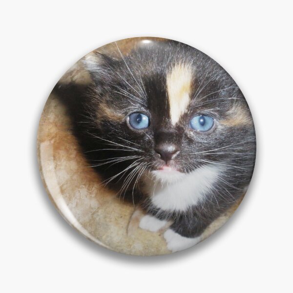 Item preview, Those Blue Eyes designed and sold by Yolanda Caporn Art.