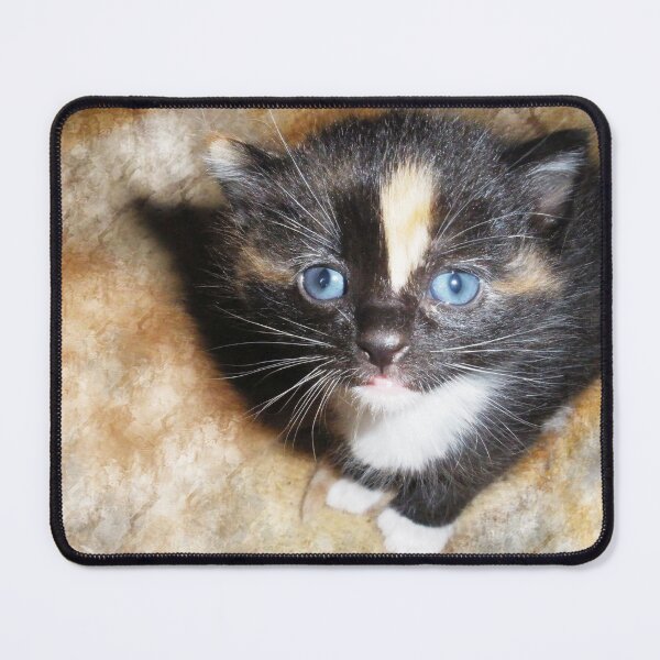 Item preview, Those Blue Eyes designed and sold by Yolanda Caporn Art.