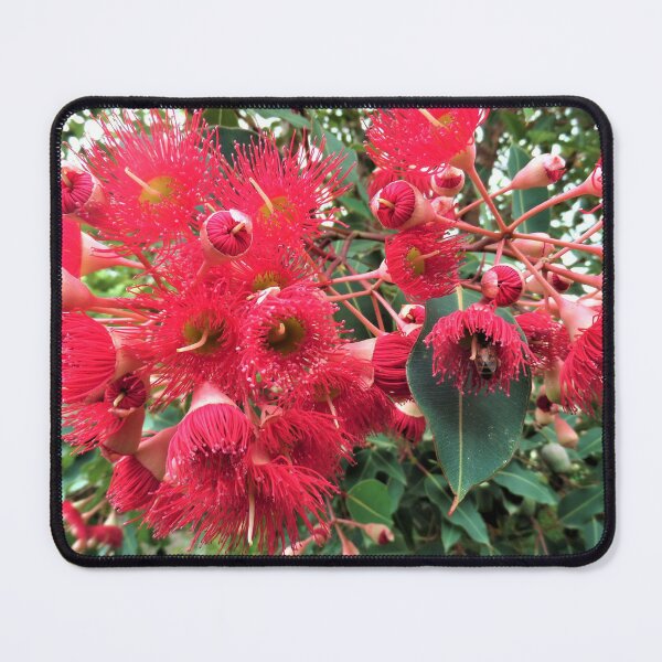 Item preview, Gum Nut Tree Blossom  designed and sold by Yolanda Caporn Art.
