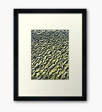 colours Framed Print