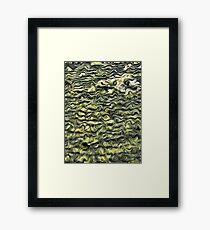 colours Framed Print