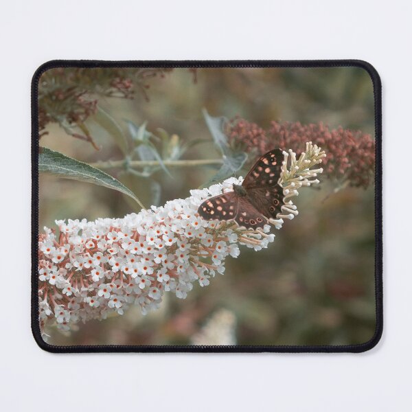 Item preview, Dark, Ethereal Butterfly on Flowers Photographic Print designed and sold by SamanthaDrage.