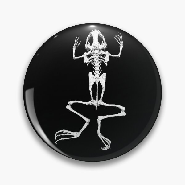 Item preview, Frog Skeleton Study - Amphibian Anatomy designed and sold by Sosnitsky.