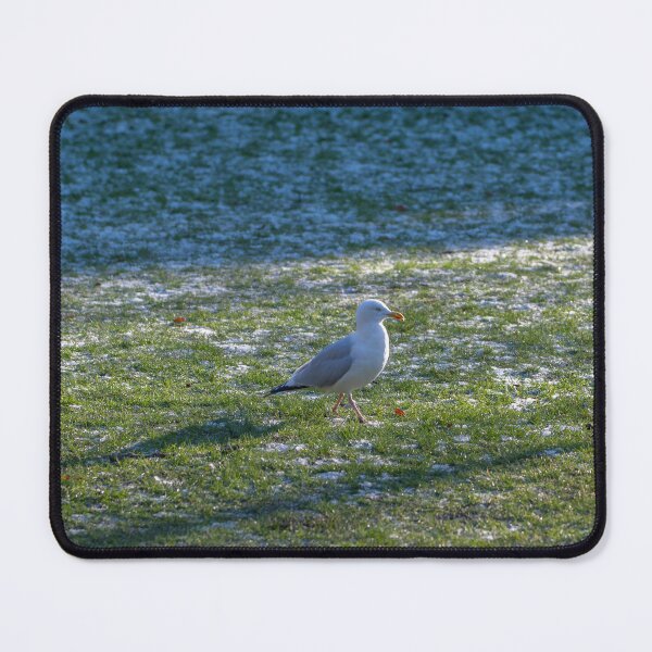 Item preview, seeing the snow designed and sold by The-gamming-fox.