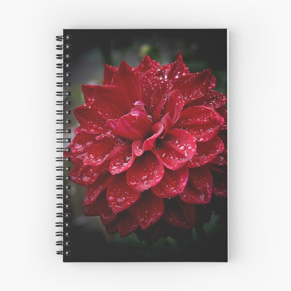 Item preview, blood red.... soaked with raindrops designed and sold by jammingene.