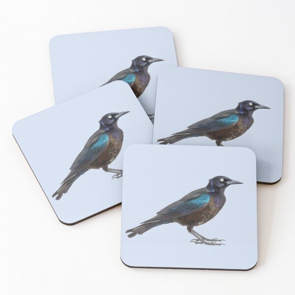 Item preview, Common Grackle designed and sold by blueberry-dino.
