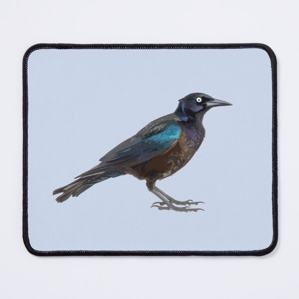 Item preview, Common Grackle designed and sold by blueberry-dino.