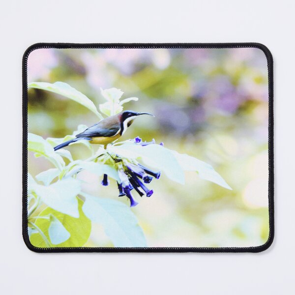 Item preview, The beautiful Eastern Spinebill, South Australia designed and sold by imaginethis.