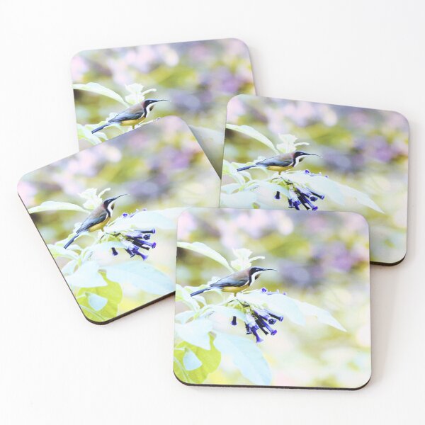 Item preview, The beautiful Eastern Spinebill, South Australia designed and sold by imaginethis.