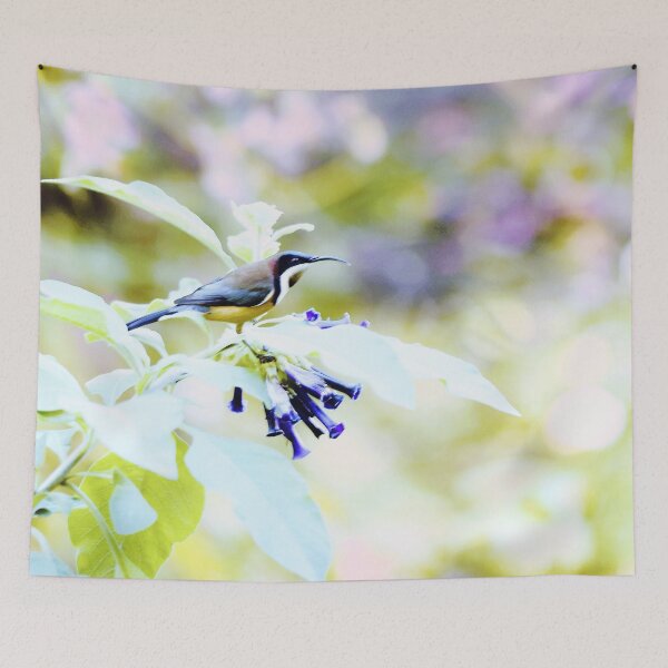 Item preview, The beautiful Eastern Spinebill, South Australia designed and sold by imaginethis.