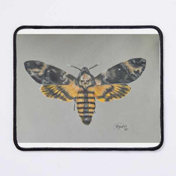 Item preview, Death's Head Moth designed and sold by Rita And Her Art.