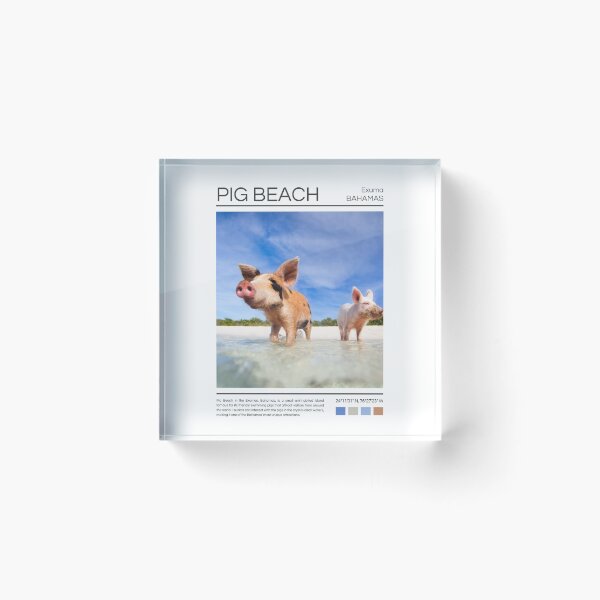 Item preview, Pig Beach - Bahamas - Photography designed and sold by StudioRedKoala.