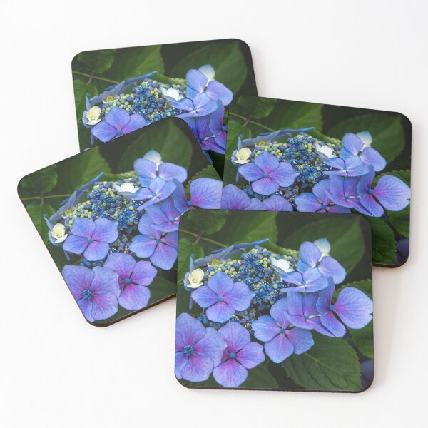 Item preview, Blue Hydrangea designed and sold by Viv Thompson Photography .