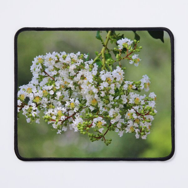 Item preview, White Blossoms in Lush Greenery designed and sold by Cynthia48.