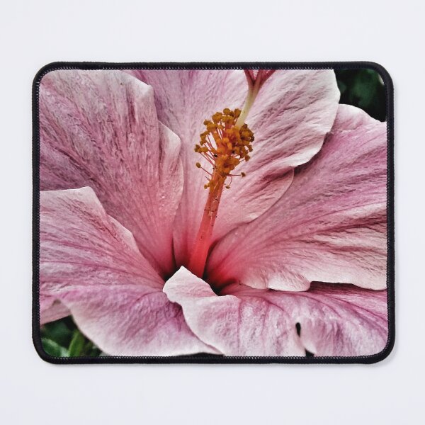 Item preview, Pink Hibiscus DPSS20170522c designed and sold by CSteenArt.