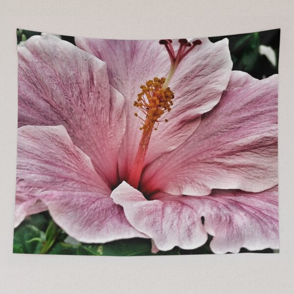 Item preview, Pink Hibiscus DPSS20170522c designed and sold by CSteenArt.