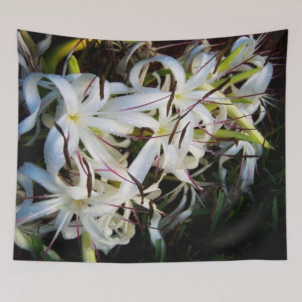 Item preview, String Lily DPSS171020a  designed and sold by CSteenArt.