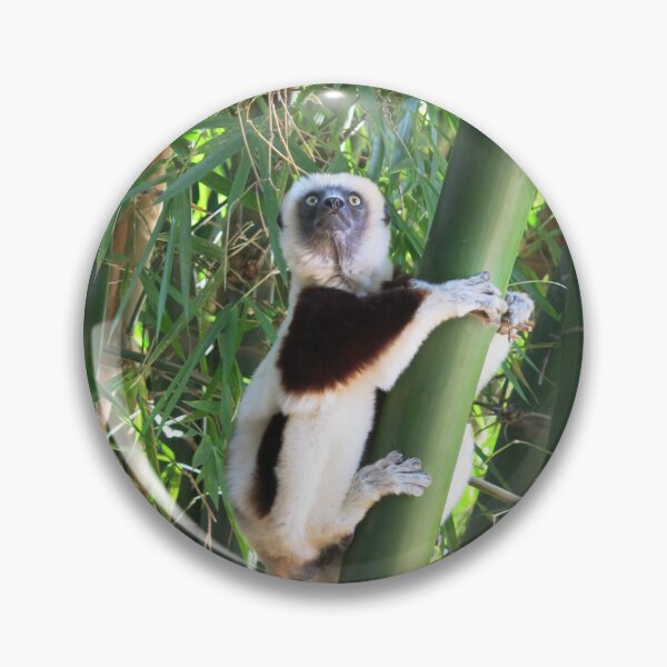 Item preview, Madagascan Lemur Climbing Bamboo  designed and sold by KikiWonders.