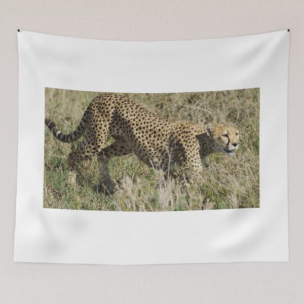 Item preview, Sneaking cheetah in the Serengeti savannah designed and sold by TravelLensPro.