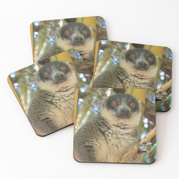Item preview, Madagascan Lemur designed and sold by KikiWonders.