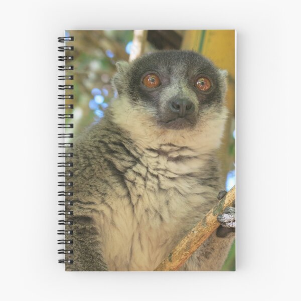 Item preview, Madagascan Lemur designed and sold by KikiWonders.