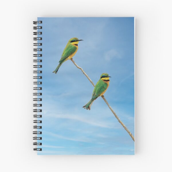 Item preview, A Little Bee Eater Couple designed and sold by Kay Brewer.