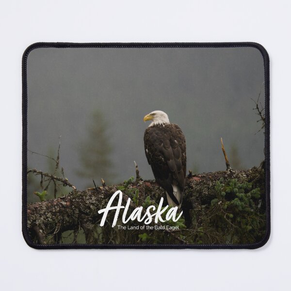 Item preview, Alaska: the land of the bald eagle designed and sold by MedlinShop.