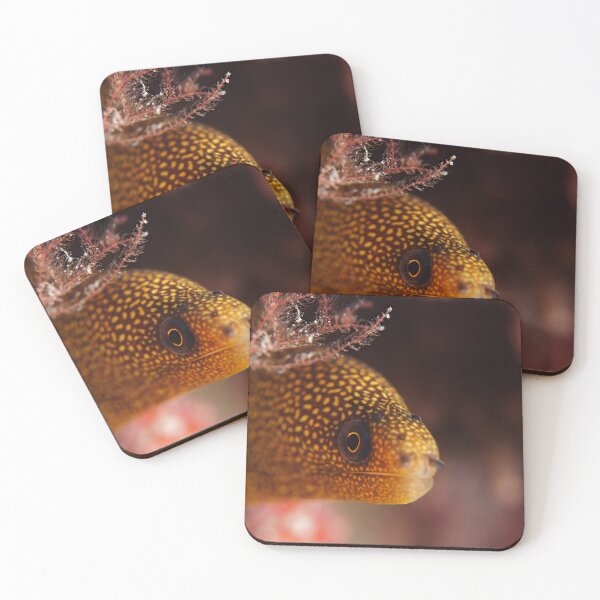 Item preview, Portrait of a goldentail moray eel designed and sold by Elep-uwp.