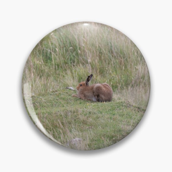 Item preview, Magical Hare on Mull designed and sold by RedGrouse.
