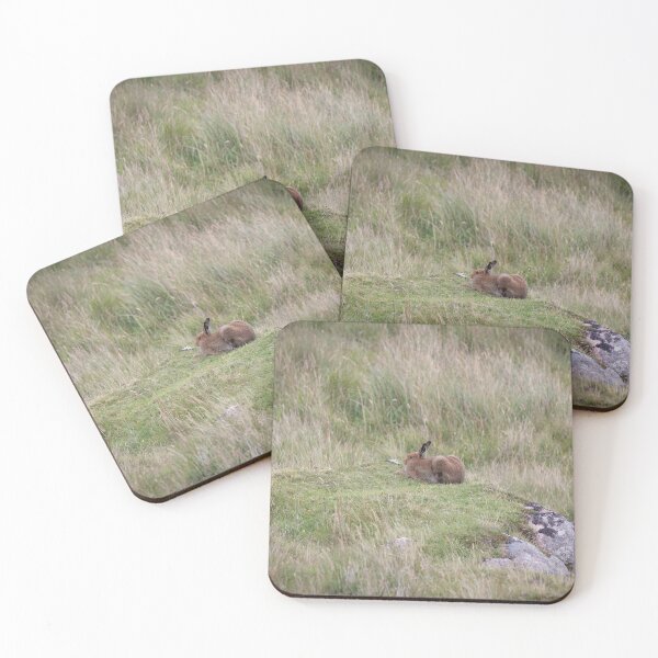 Item preview, Magical Hare on Mull designed and sold by RedGrouse.