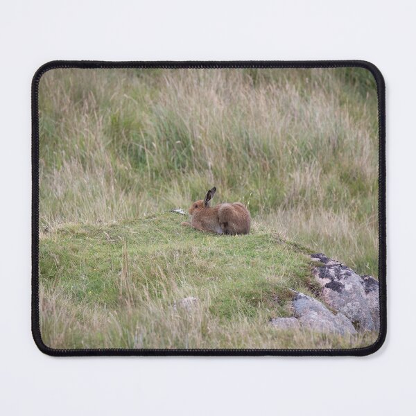 Item preview, Magical Hare on Mull designed and sold by RedGrouse.