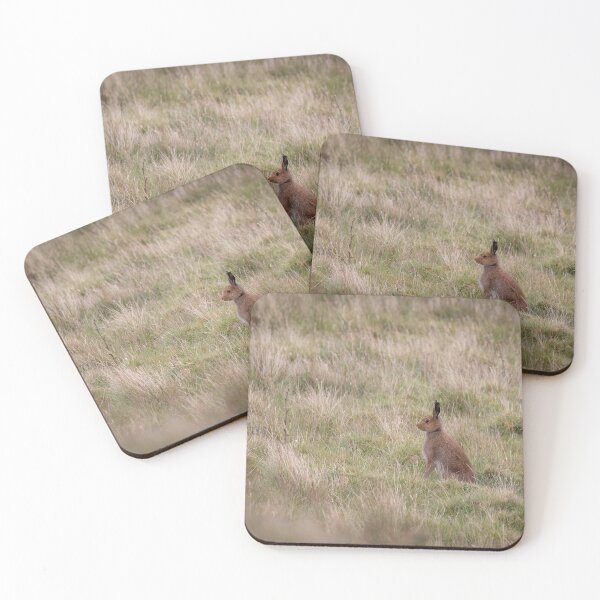 Item preview, Magical Hare on Mull designed and sold by RedGrouse.