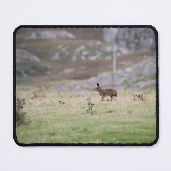Item preview, Magical Hare on Mull designed and sold by RedGrouse.