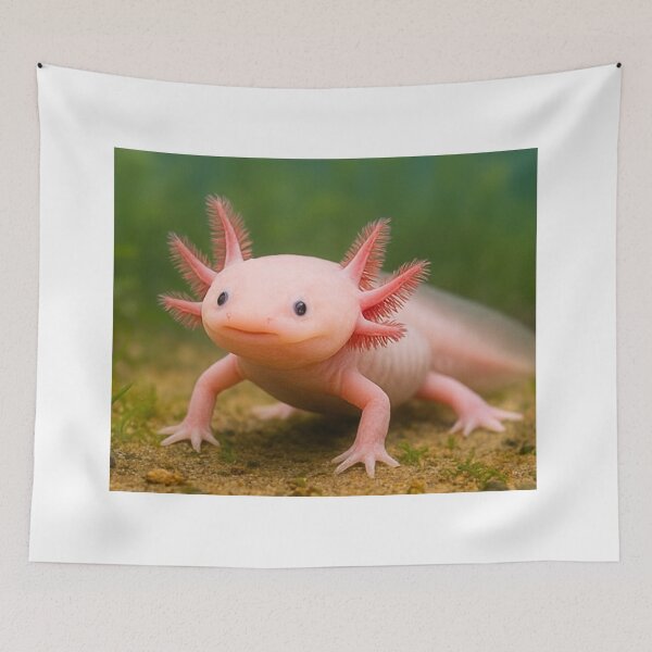 Item preview, Cute Pink Axolotl designed and sold by BackgroundND.
