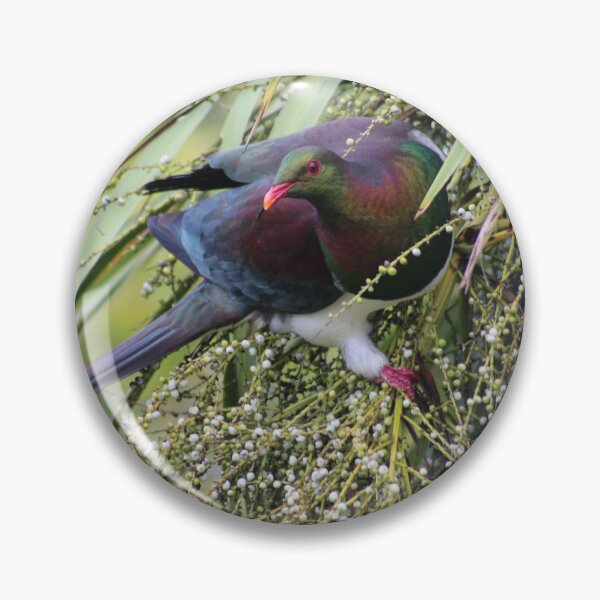 Item preview, Kererū | New Zealand Pigeon designed and sold by KiwiImages.