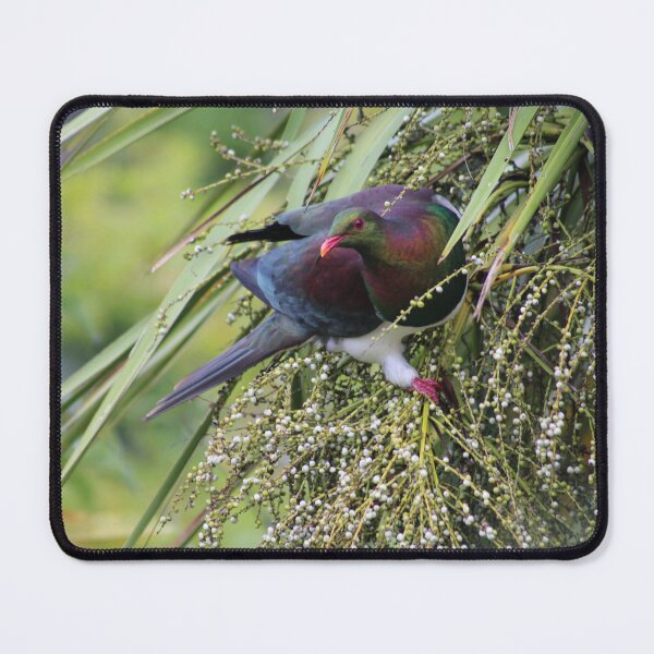 Item preview, Kererū | New Zealand Pigeon designed and sold by KiwiImages.