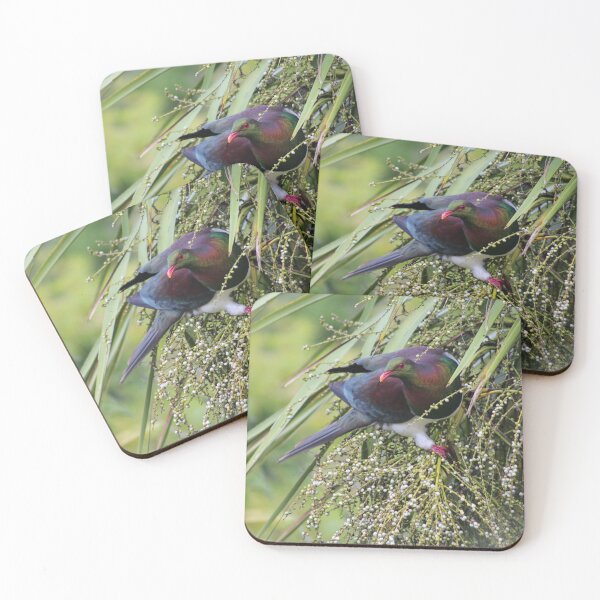 Item preview, Kererū | New Zealand Pigeon designed and sold by KiwiImages.