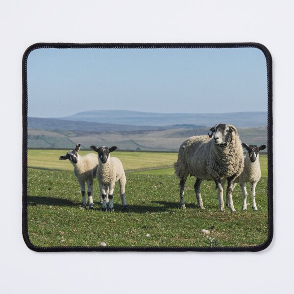 Item preview, Sheep and lambs in Yorkshire designed and sold by Two-Tickets-To.